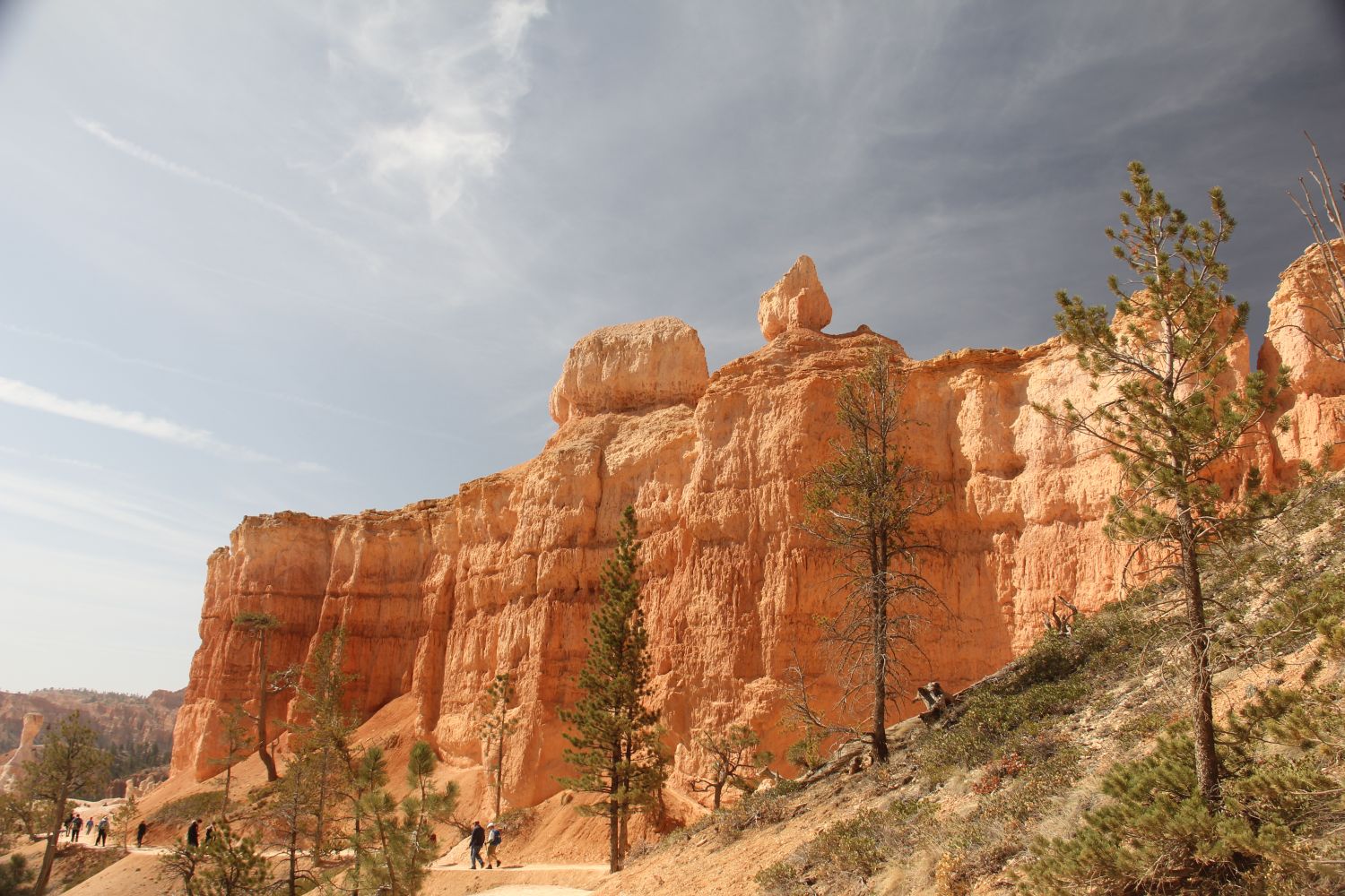 Queens/Navajo 